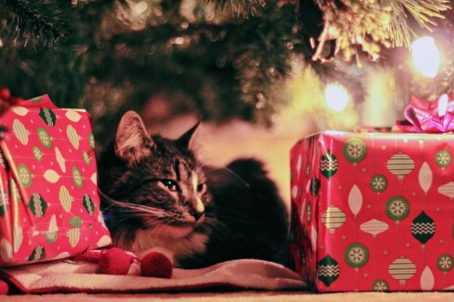 Enhance Your Holidays with an Artificial Christmas Tree